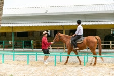 [군위소식] 삼국유사테마파크에서 승마대회 관람 외