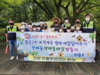 남양주시 와부 자율방범대, 월문2리 묘적계곡 생태 새집 달아주기 지원