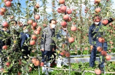 [거창소식] 스마트농업으로 미래농업 선도