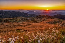 [합천소식] 황매산 은빛 억새, 가을바람에 일렁이다