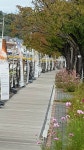 영덕 덕곡천, 시의 향연에 젖다