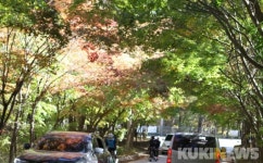 [포토]단풍으로 갈아입은 인제 필례약수