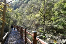 [정선 단신] 북평면 항골 계곡 생태탐방로 조성 등
