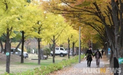 [포토]춘천 의암공원에 찾아온 가을
