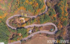 해발 1,013m 가을 맞은 구룡령 [드론으로 본 풍경]