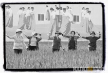 라떼기자의 now & then [4회] 예향 진도의 소리와 춤을 찾아서