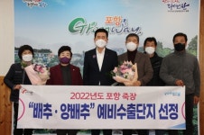 포항 죽장면 배추·양배추, 수출 날개 달아