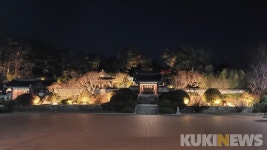 강릉 커피축제 기간 오죽헌·시립박물관 야간운영