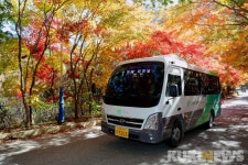 인제 하늘내린 마을버스 이용객 1만명 돌파…주민들 굿