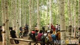 인제 자작나무 명품숲 랜드 조성 탄력…사업비 52억 확보