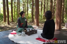 어선에서 돌고래 찍고 스노클링... 신개념 제주도 여행 개척