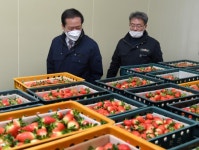 합천군, 보행자 작동식 신호체계 전면 시행 [거창 ·합천소식]