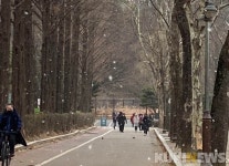 한달간 건강생활, 최종 승자는?… 건강온(ON) 도전기③