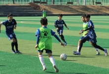 함안군, 동계 전지훈련지로 인기…지역경제에 큰 활력 [함안소식]