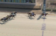 함안군 경주마 ‘함안봉화산’ 국6등급 1300m 우승 쾌거 [함안소식]