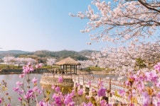 ‘당진 면천 레트로거리’로 떠나는 봄나들이
