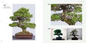 한국수목원정원관리원, 분재도록 ‘우리분재’ 발간