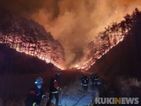 삼척·강릉·동해·영월 산불…708ha 소실(종합)
