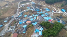 남명 조식 심은 남명매 등 산청3매 일제히 개화 [산청소식]