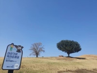 봄날에는 함안‘ 아라가야 역사 순례길 ’을 걸어요 [함안소식]