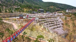 지리산 산청의 봄 동의보감촌
