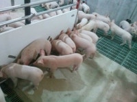 합천군, 악취 없는 깨끗한 축산농장 만들기 돌입 [합천소식]