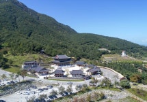 산청군 로컬푸드 행복장터 산나물 특판전 인기 [산청소식]