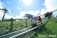 Foto hasil pencarian Naver 3
