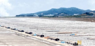 전남도, 718억 투입 염전 근로환경 개선