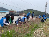 전북개발공사, 남원 산덕마을 농촌 일손 도와 ‘구슬땀’