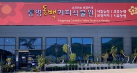 인스타 감성 카페 통영동백커피식물원 [통영소식]