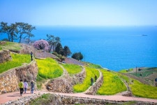 남해군, 바다와 해변 볼거리 부문 1위 [남해소식]