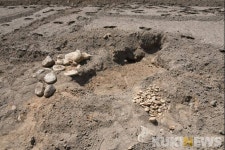 평창군, 평창읍 천동리에서 청동기시대 추정 문화재 발견