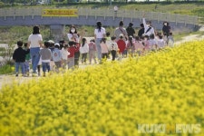 유채꽃 구경 왔어요 [쿠키포토]