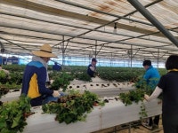 군위군, CCTV 설치 특별교부세 5억 확보 외 [군위소식]