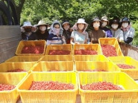 보리수 열매처럼 싱그럽고 풍성한 제11회 고성 보리수 축제 개최