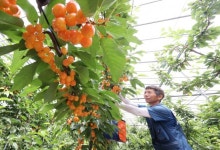 함양군, 상림 어린이공원 물놀이장 18일 개장 [함양소식]