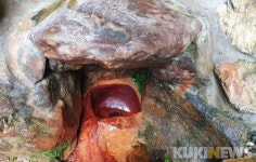 춘천 추곡약수터 흉물 건축물 눈살… 명소화 5년째 지지부진