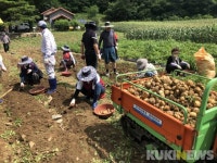 강원랜드 도박중독 회복자, 직접기른 감자 지역에 전달 훈훈