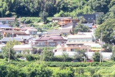 관광버스 막춤 시골 어르신들, 이해도 됐다