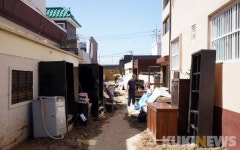힌남노가 쓸고간 포항 대송면... 동네 전체가 흙탕물 [화보]