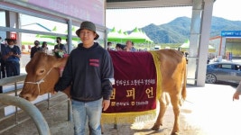 완도 박지훈, 전남 으뜸한우 경진 ‘챔피언’