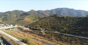 단감주산지 15km 구간 창원단감로 명예도로로 지정…2027년까지 사용