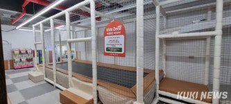 가성비 높은 숙성생고기전문점 한마음정육식당[맛좋은 칼럼]