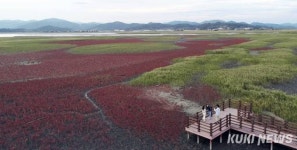 [생태탐방] 세계자연유산 ‘서남해갯벌을 찾아’   