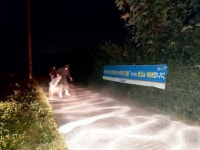 김해 사촌천 야생조류서 고병원성 조류인플루엔자 확인  