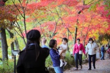 ‘단풍 내려온다’ 단풍이 아름다운 함안 입곡군립공원 [여기어때]