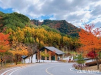 강원랜드산림힐링재단, 내년 1분기 ‘숲PRO’ 프로그램 참가단체 모집