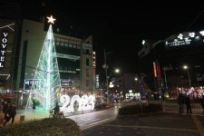 12월, 다양한 스포츠 동호인으로 활기찬 고성군 [고성소식]