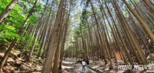 장성 홍길동우드랜드 산림치유공간으로 조성